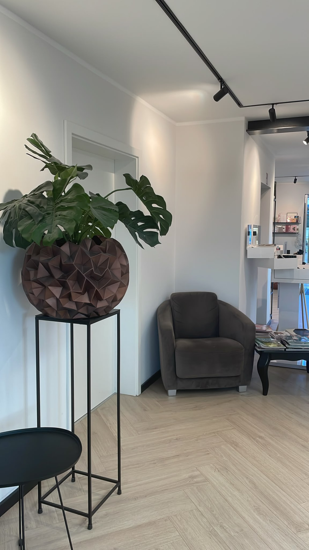 Helle Lounge mit Sessel und Pflanze